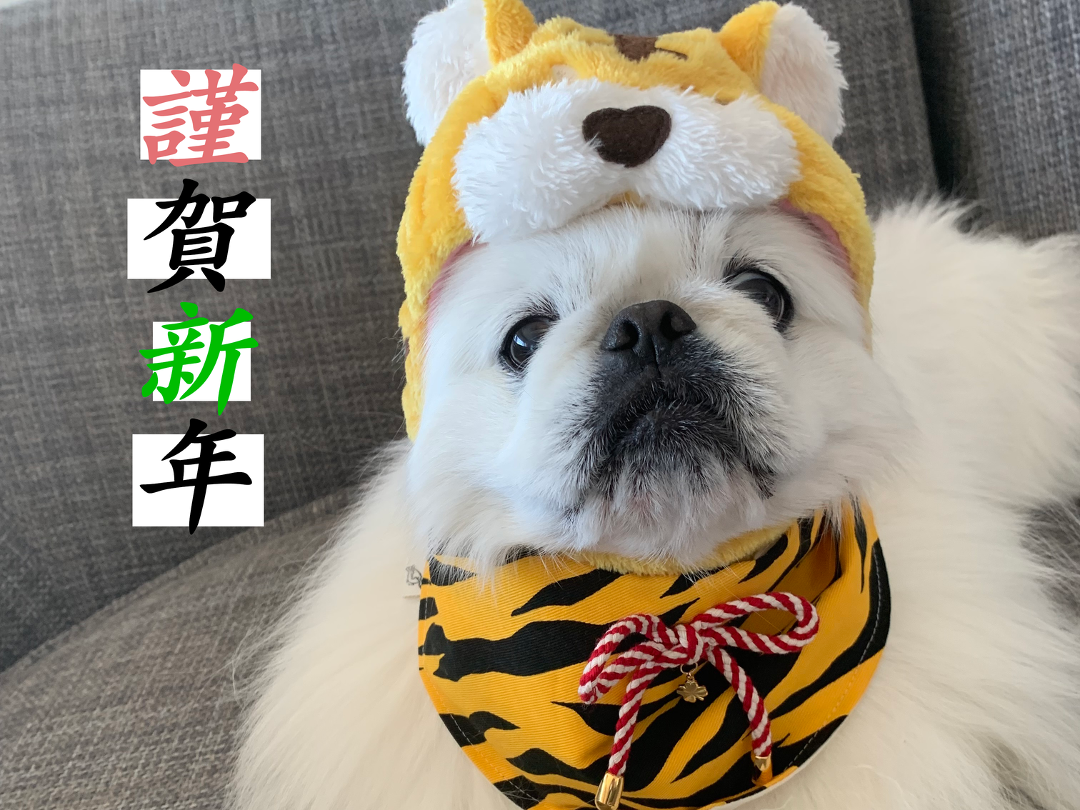 ☆新年のご挨拶とご報告☆